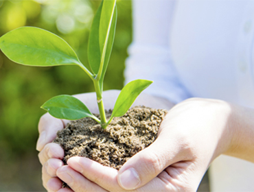 recent-project-img-1