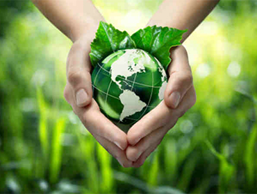 recent-project-img-6